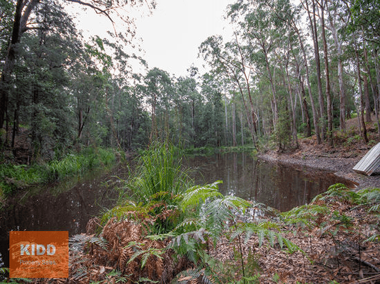 217 Sternbeck Road, BUCKETTY, NSW 2250