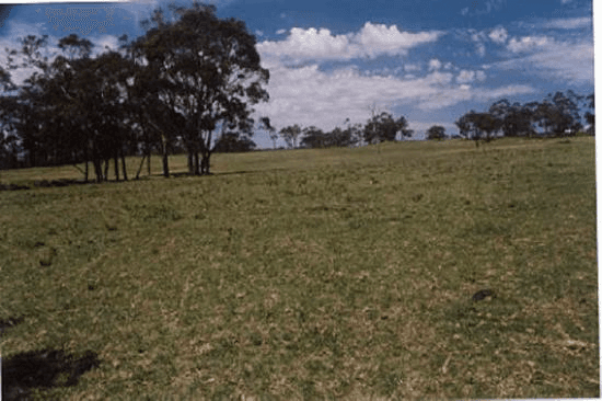 PEATS RIDGE, NSW 2250