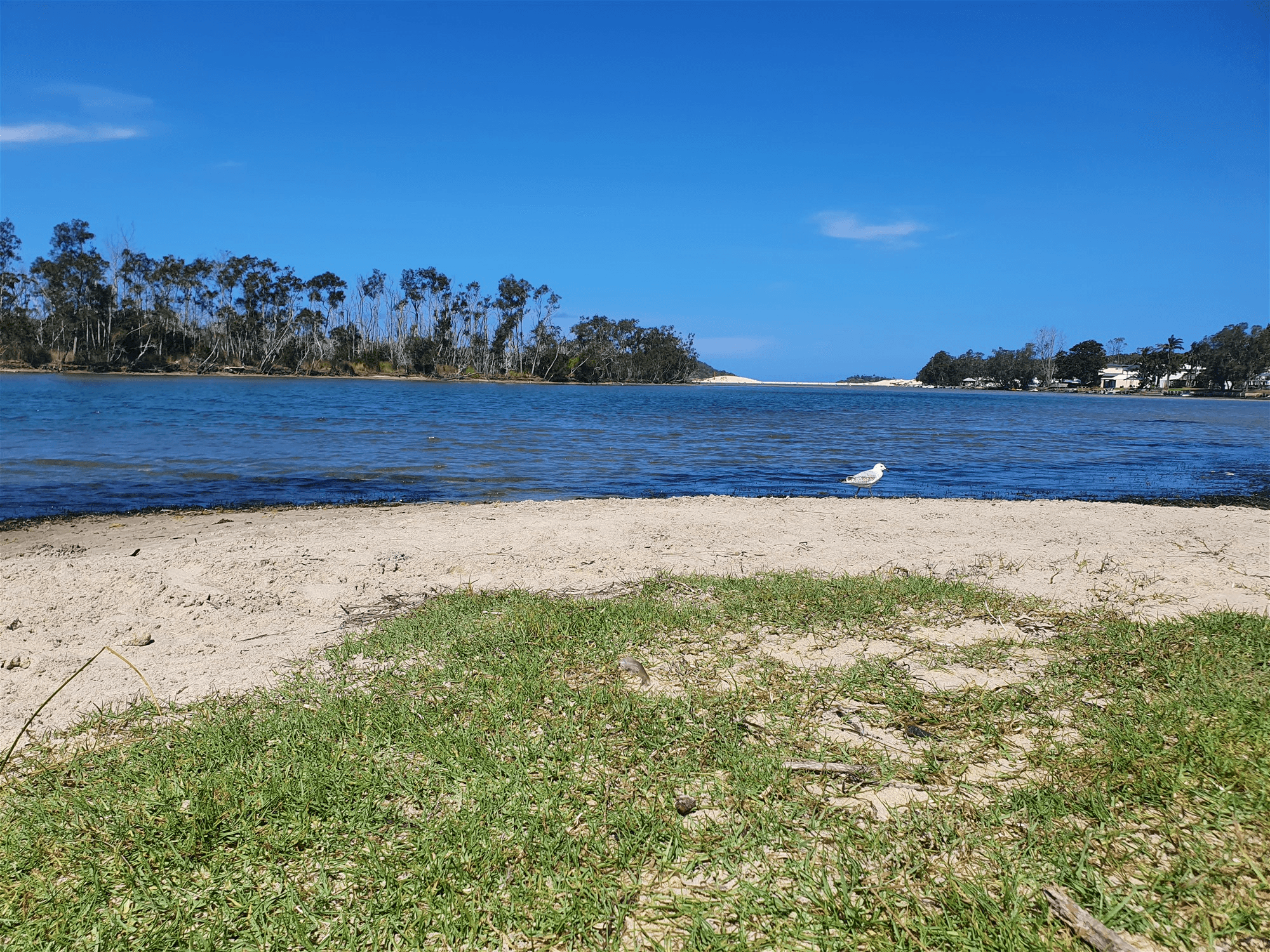 4 Thorne Street, LAKE CONJOLA, NSW 2539