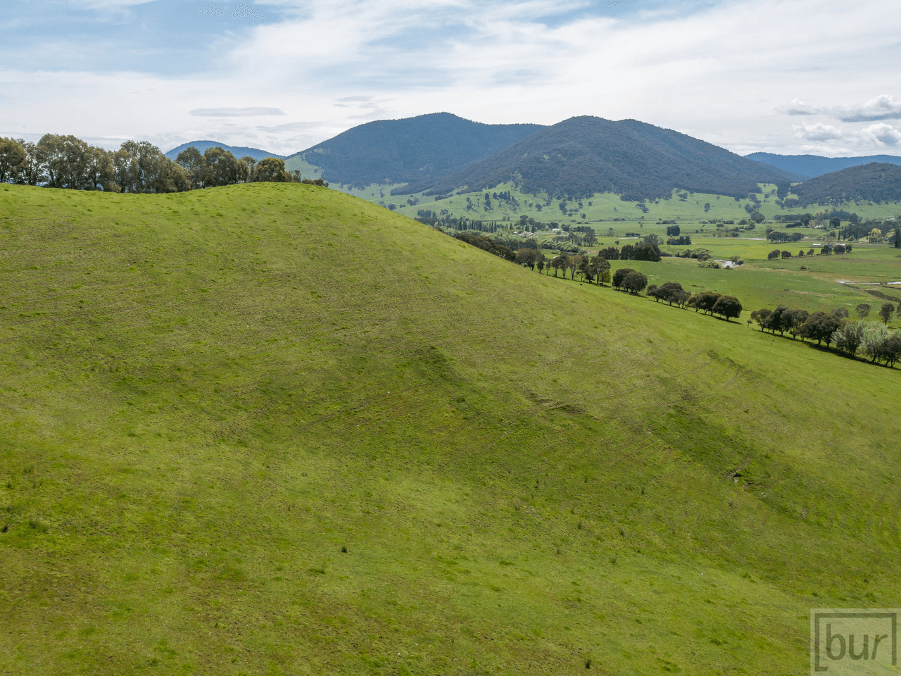 275 Soldier Settlers Road, TALLANGATTA VALLEY, VIC 3701