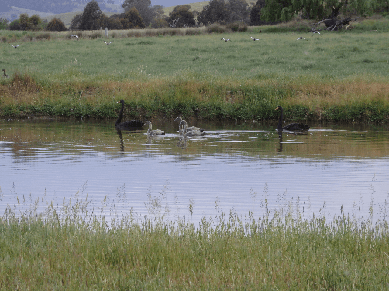 275 Soldier Settlers Road, TALLANGATTA VALLEY, VIC 3701