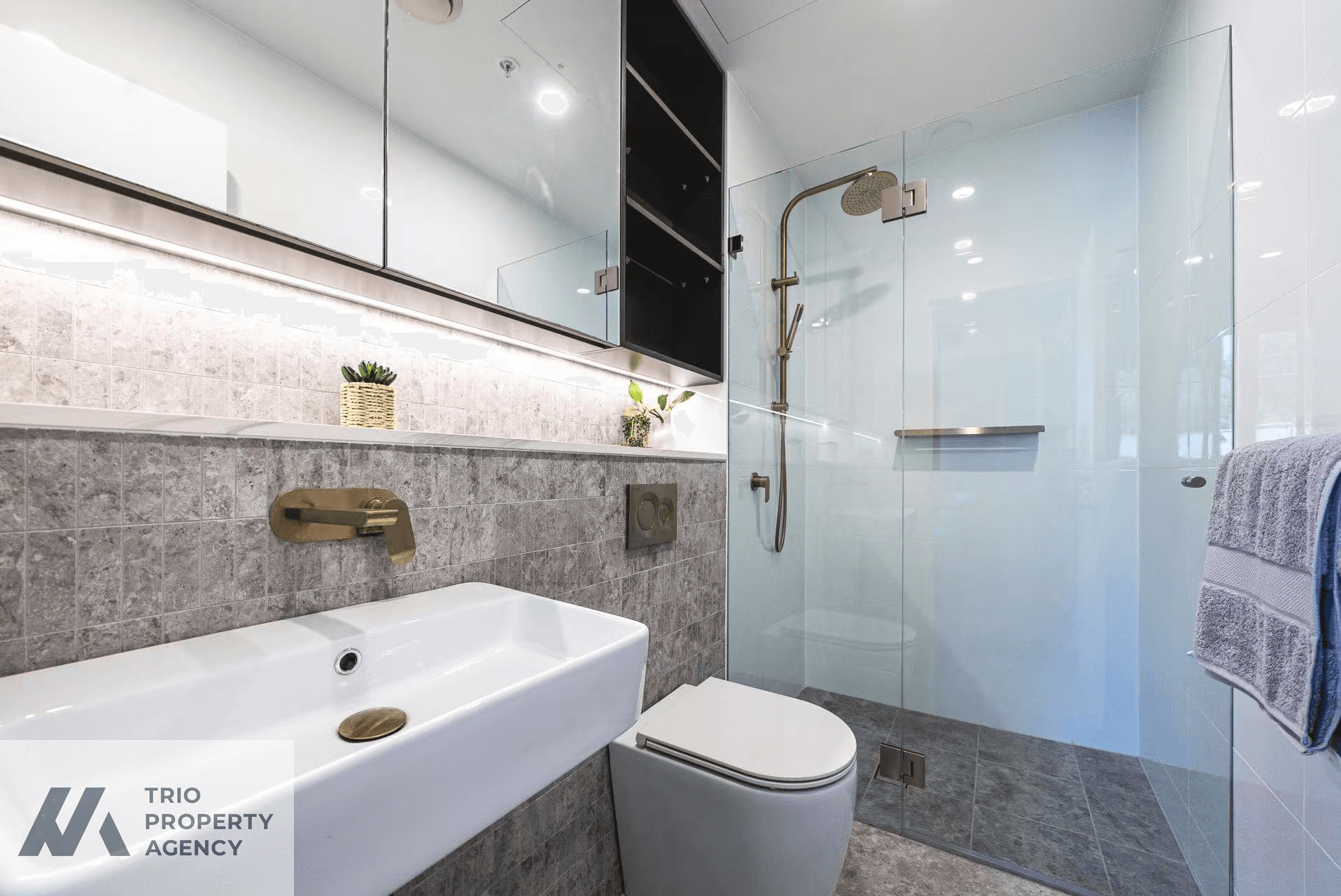 2Bed/12 Shirley Street, CARLINGFORD, NSW 2118