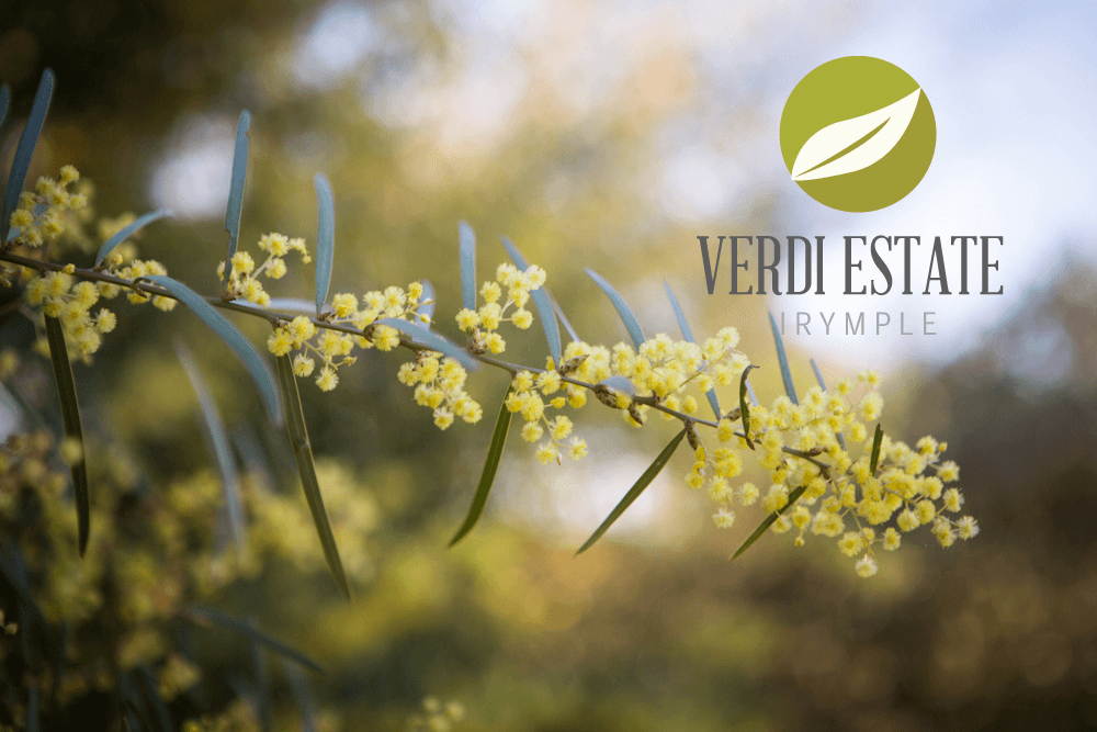 Verdi Boulevard, Irymple, VIC 3498