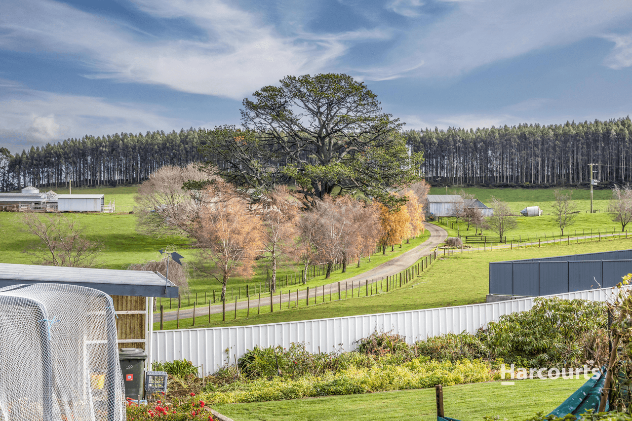 936 Ridgley Highway, RIDGLEY, TAS 7321