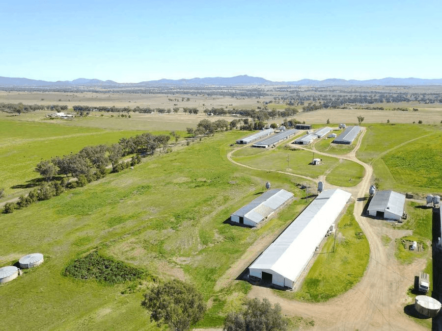 194  Meadows Lane, WARRAL, NSW 2340