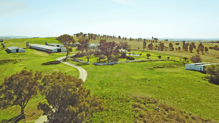 194  Meadows Lane, WARRAL, NSW 2340