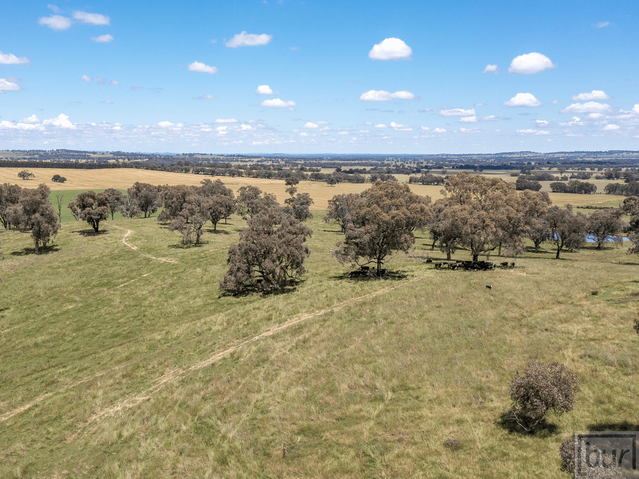 1098 Hovell Road, MOORWATHA, NSW 2640