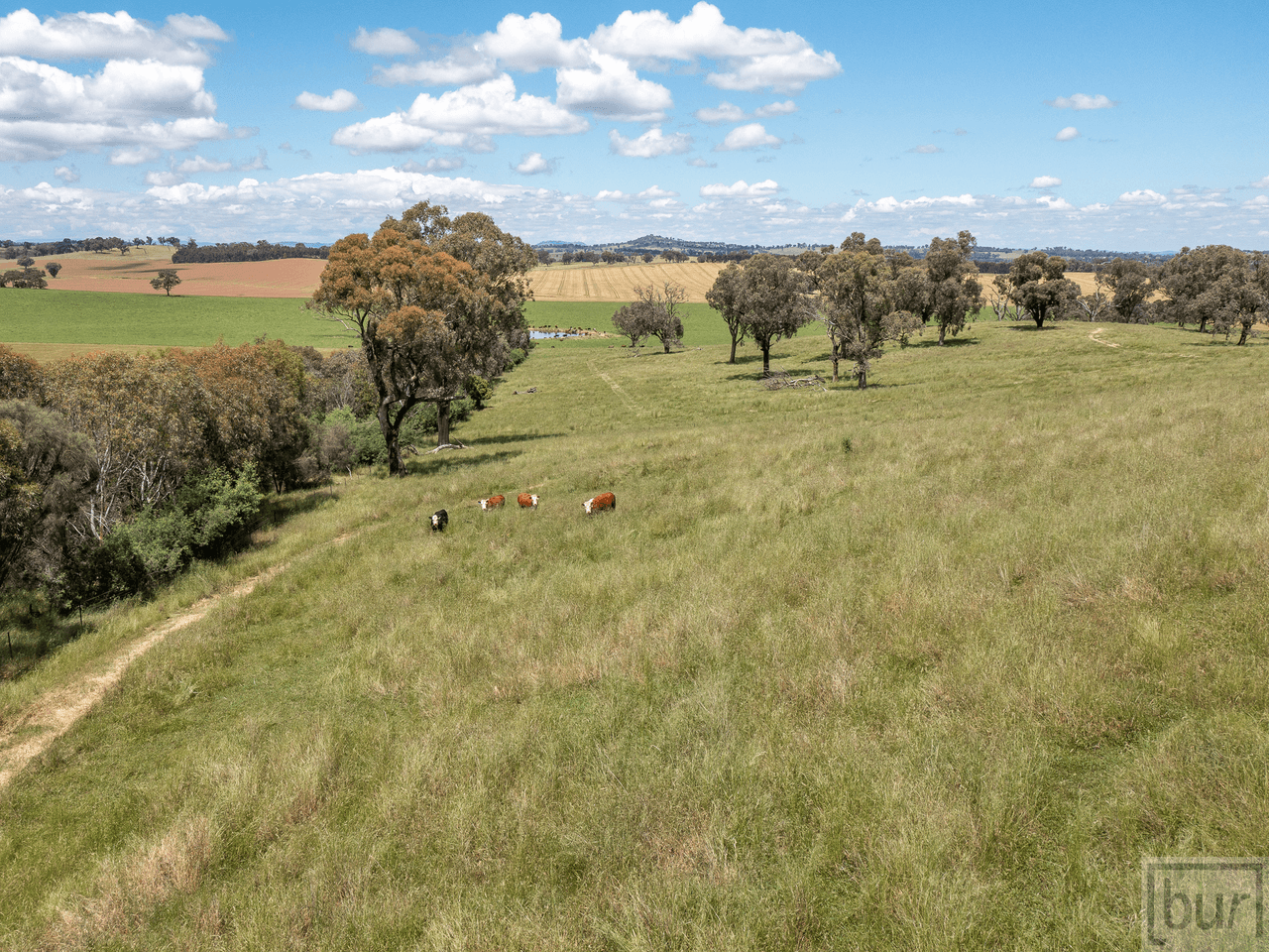 1098 Hovell Road, MOORWATHA, NSW 2640