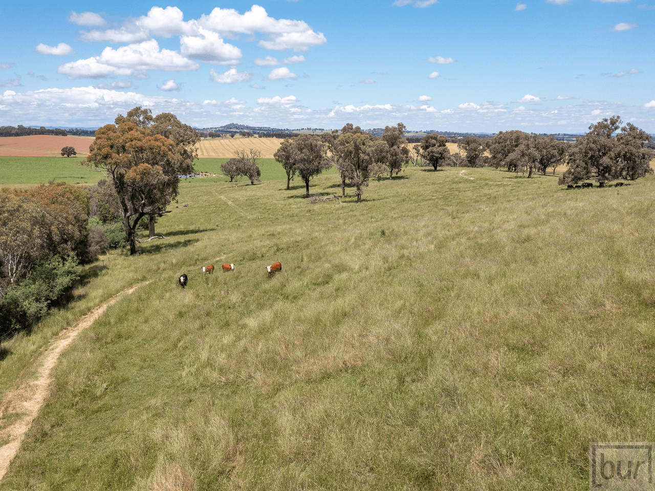 1098 Hovell Road, MOORWATHA, NSW 2640