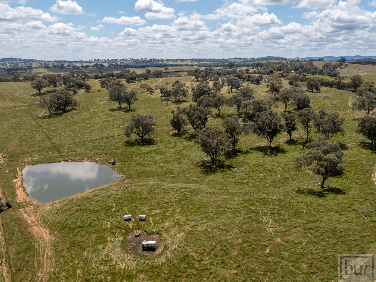 1098 Hovell Road, MOORWATHA, NSW 2640