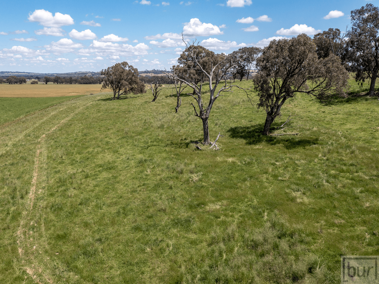 1098 Hovell Road, MOORWATHA, NSW 2640