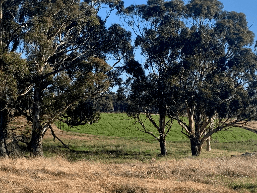 "Boro Park"  1108 Goulburn Road, GOULBURN, NSW 2580