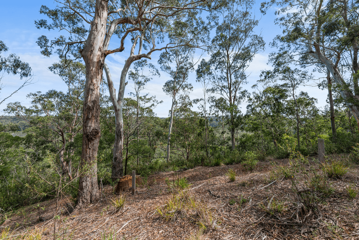 141 Veldens Road, Toorloo Arm, VIC 3909