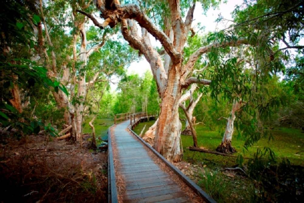 27 Pandanus Dr, Horseshoe Bay, QLD 4819