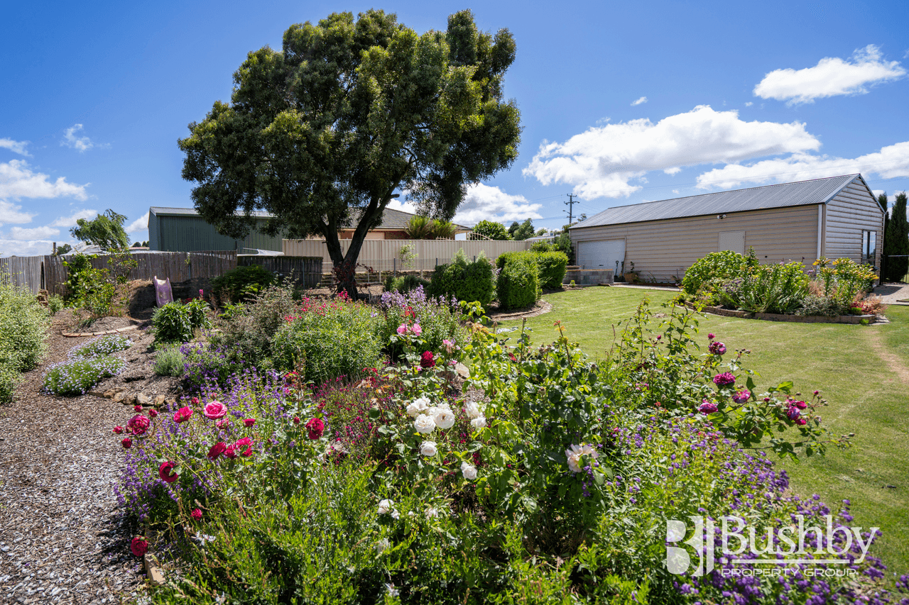 51 Panorama Road, BLACKSTONE HEIGHTS, TAS 7250