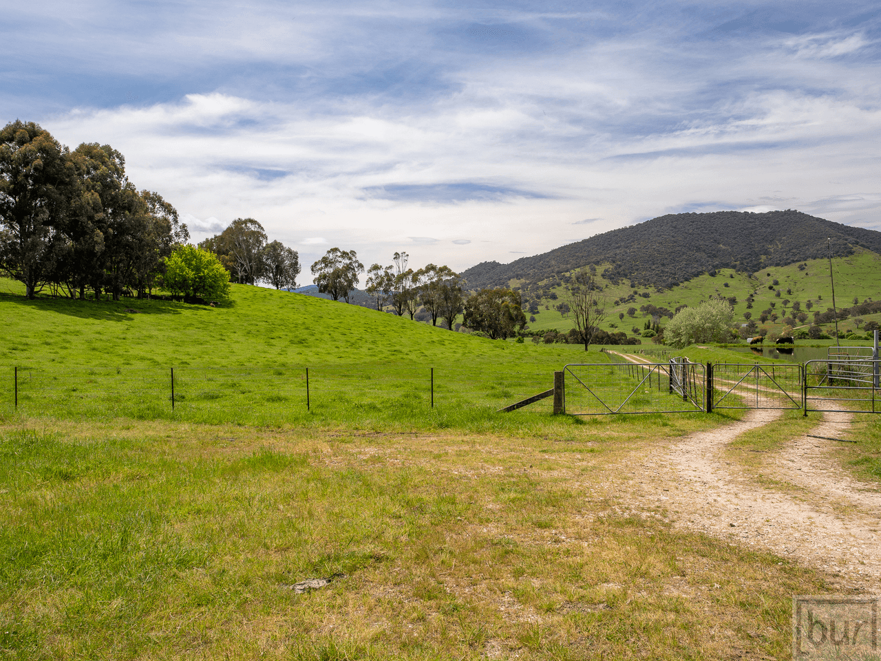 275 Soldier Settlers Road, TALLANGATTA VALLEY, VIC 3701