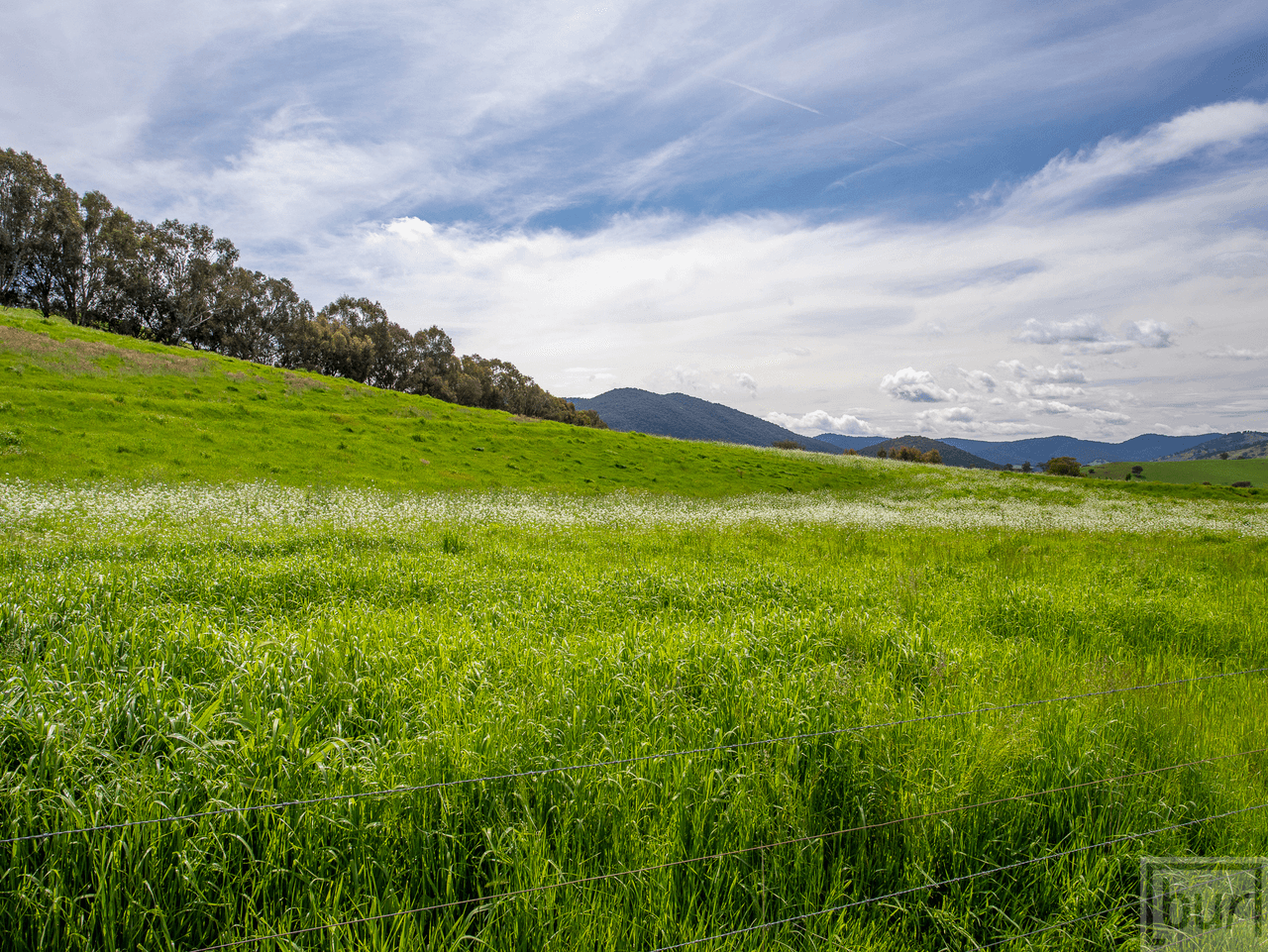 275 Soldier Settlers Road, TALLANGATTA VALLEY, VIC 3701