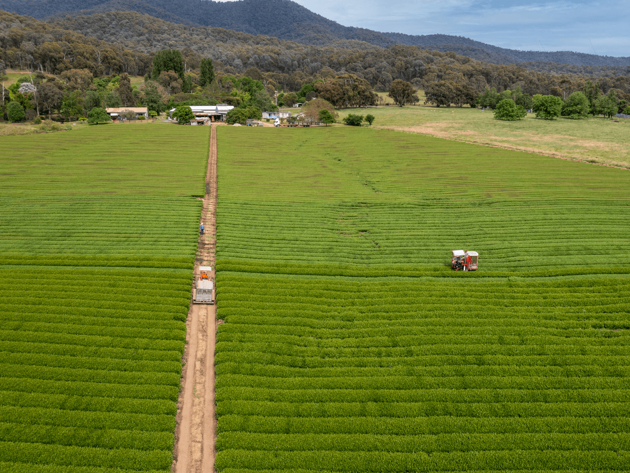 6109 Kiewa Valley Highway, CORAL BANK, VIC 3691