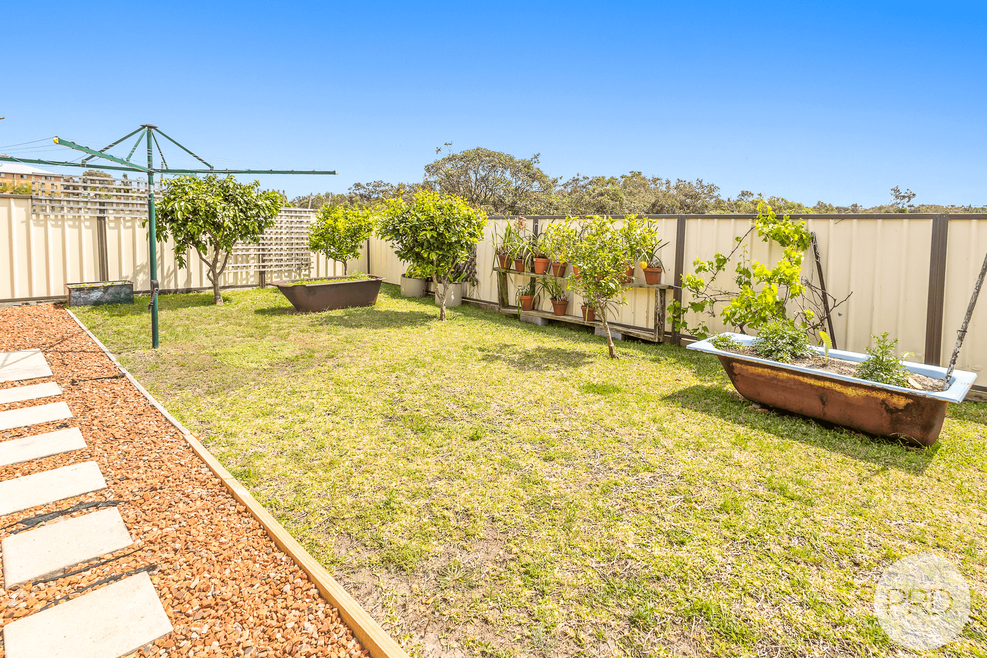 2225 Nelson Bay Road, WILLIAMTOWN, NSW 2318