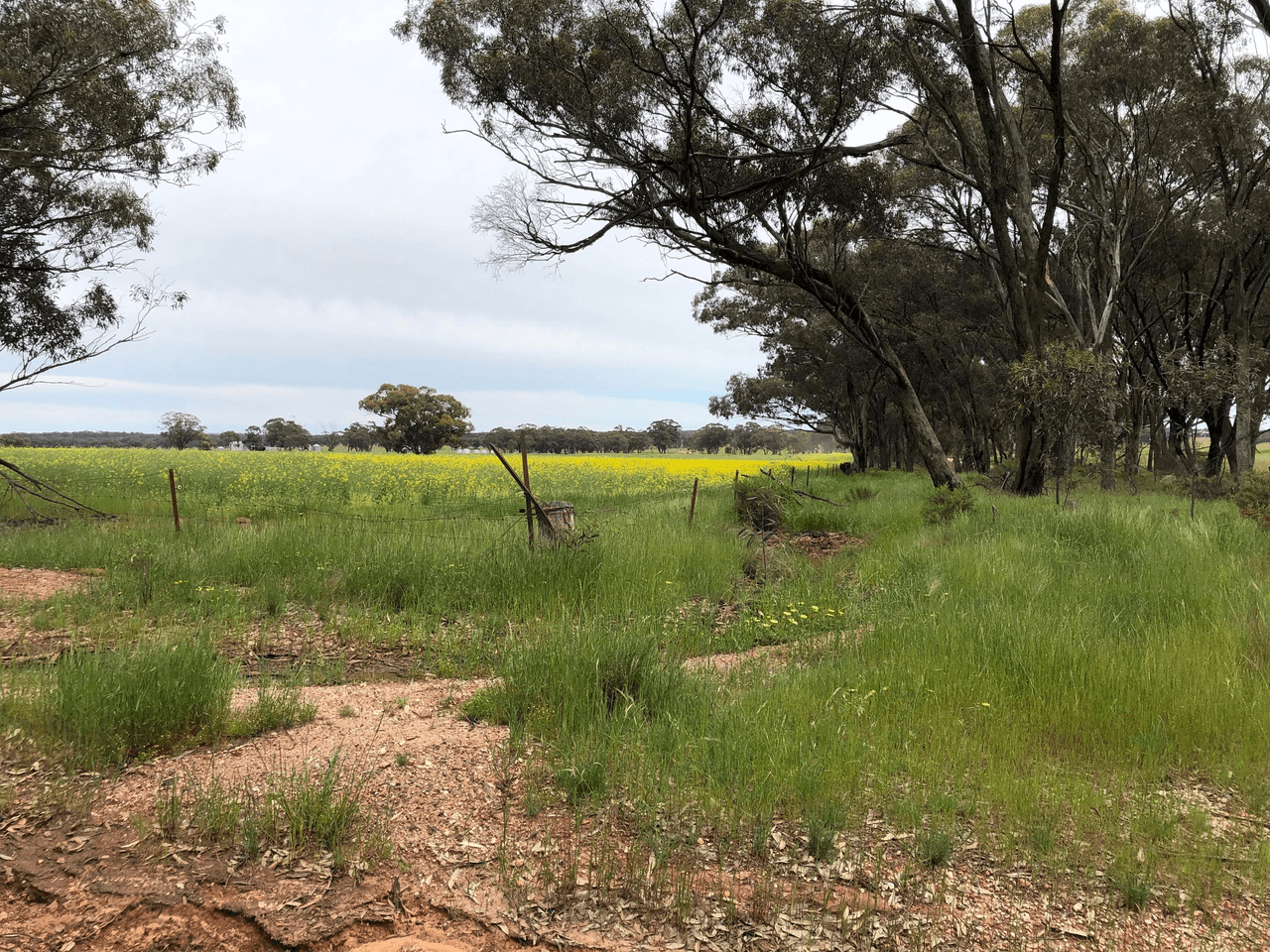 2000 Nine Mile South-Wedderburn Road, WEDDERBURN, VIC 3518