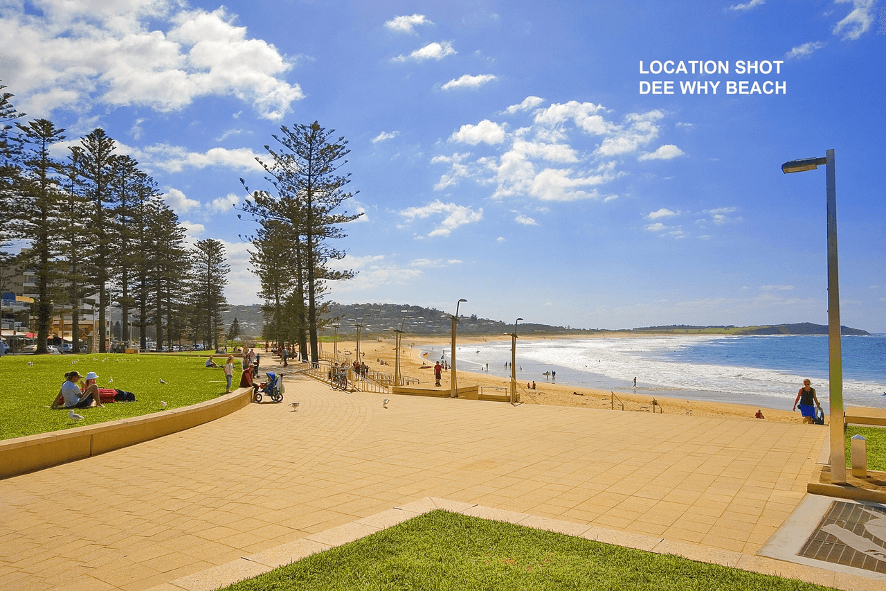 8/14 Regent Street, Dee Why, NSW 2099