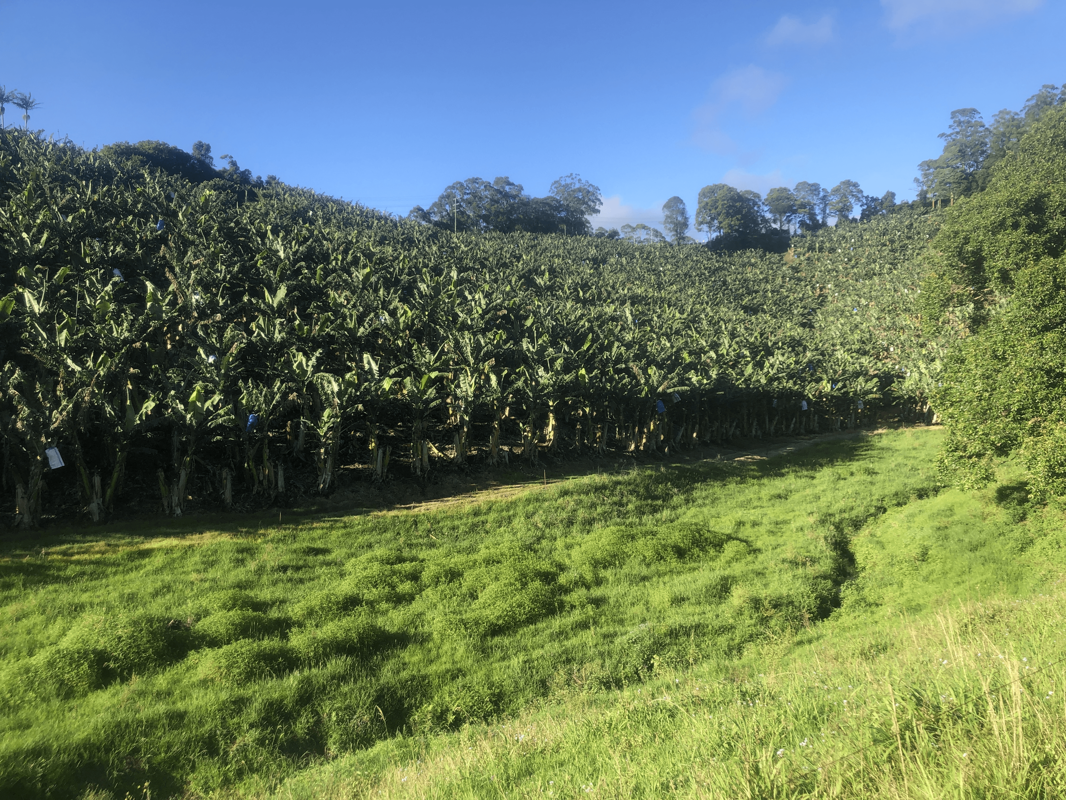 420e Coramba Road, Coffs Harbour, NSW 2450