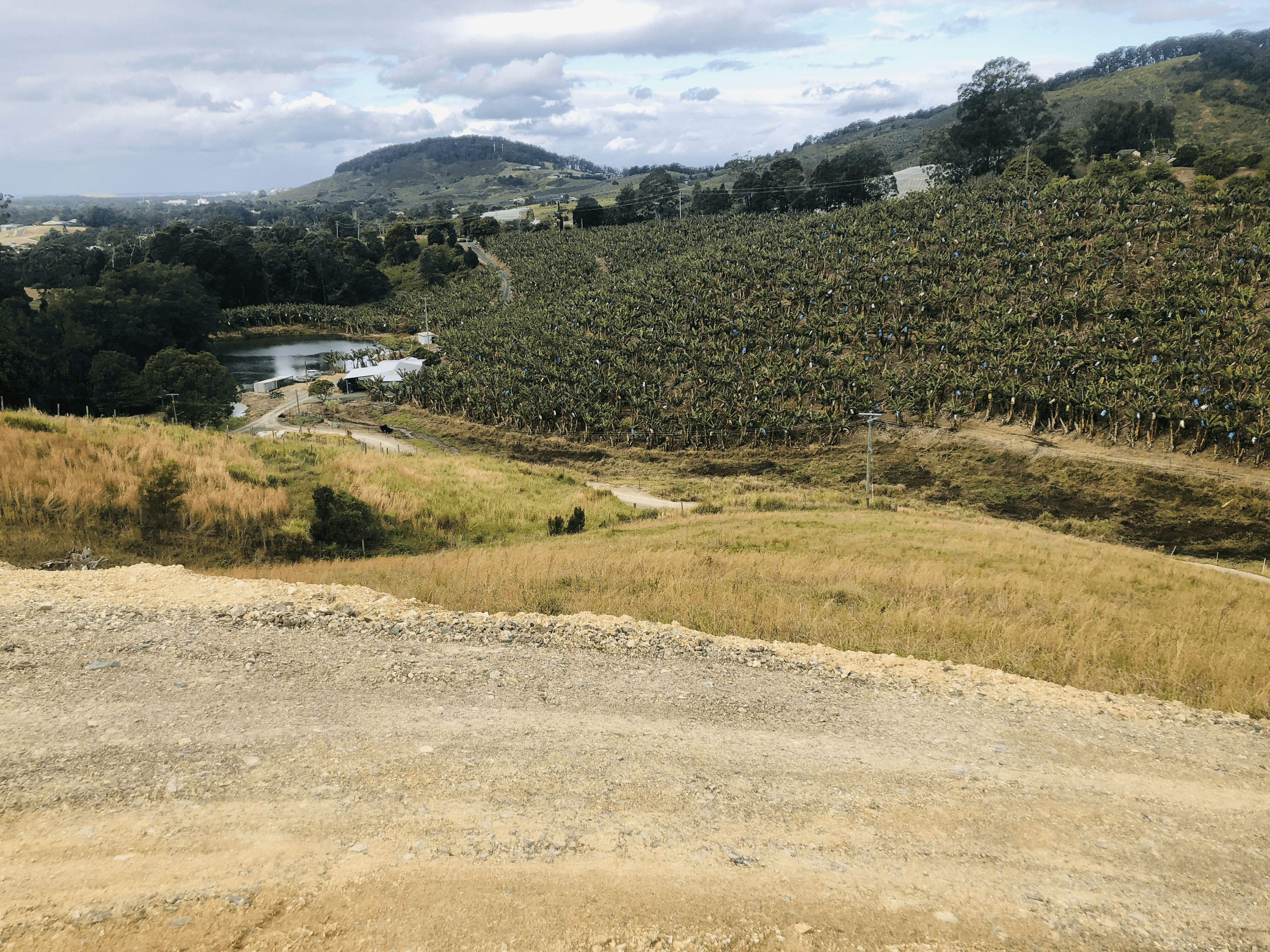 420e Coramba Road, Coffs Harbour, NSW 2450
