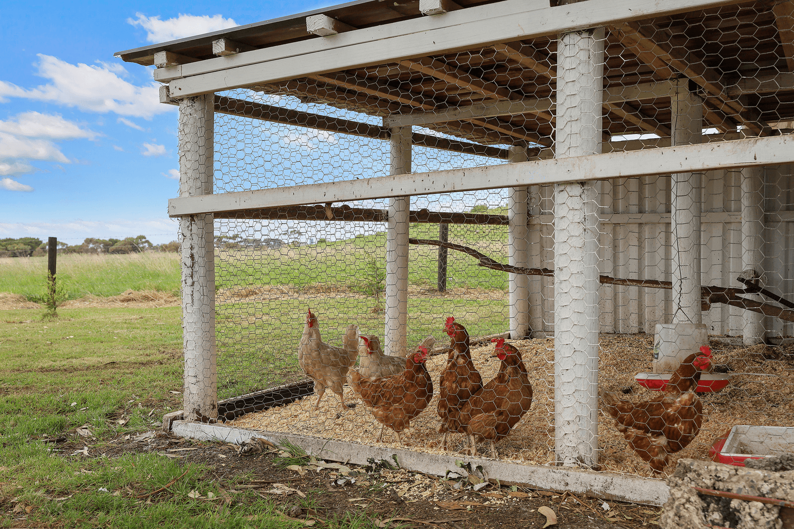 174 Blackwood Road, PORT FAIRY, VIC 3284