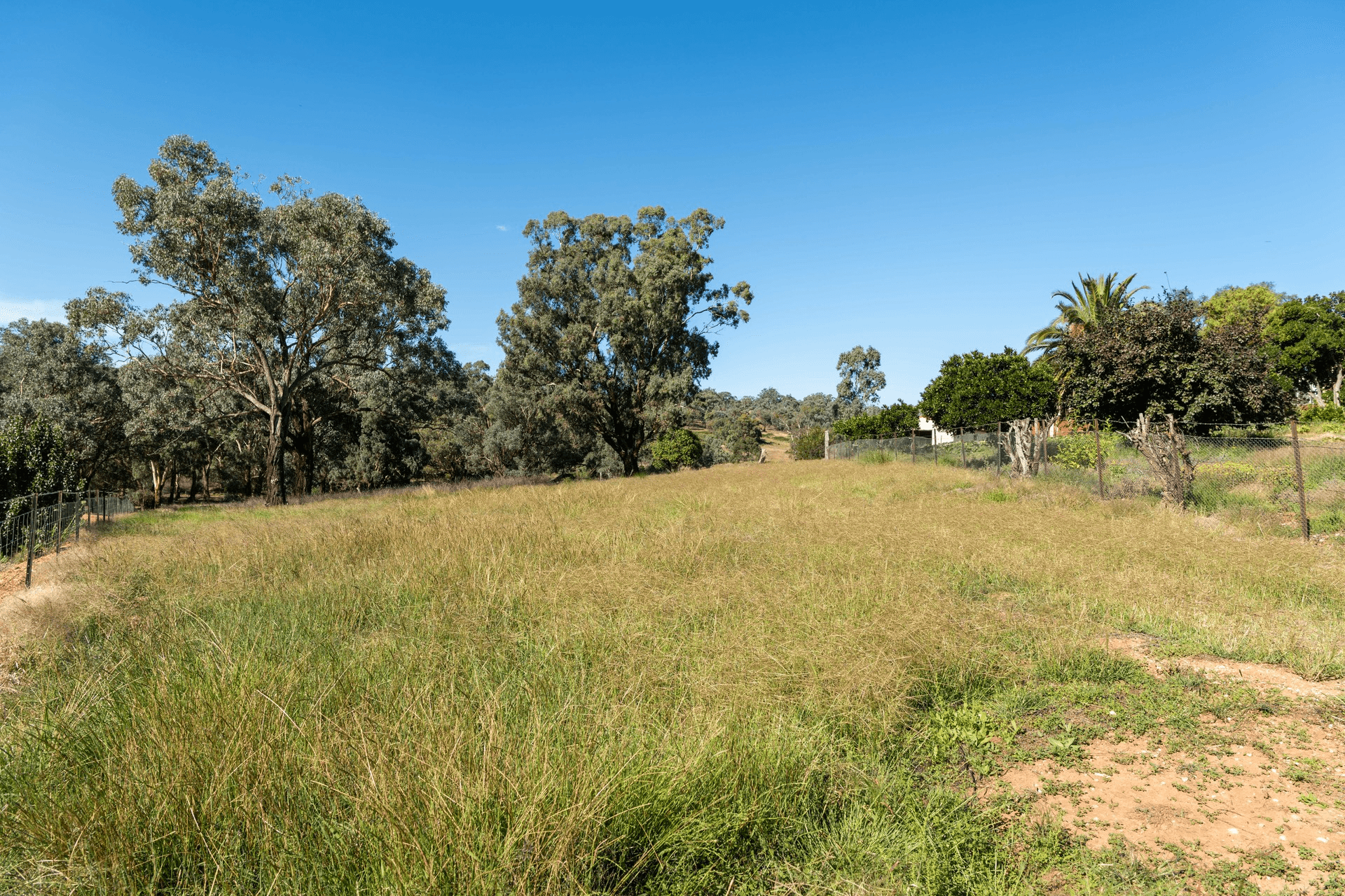 21 Pinkerton Lane, Cootamundra, NSW 2590