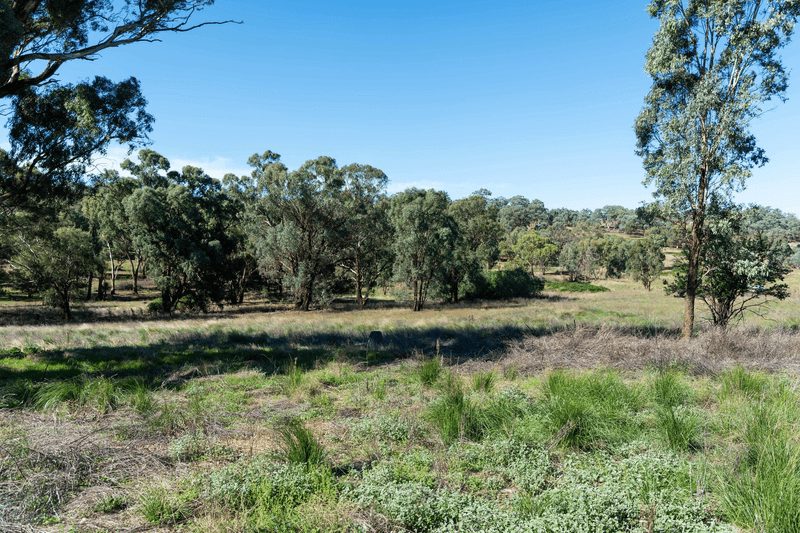 21 Pinkerton Lane, Cootamundra, NSW 2590