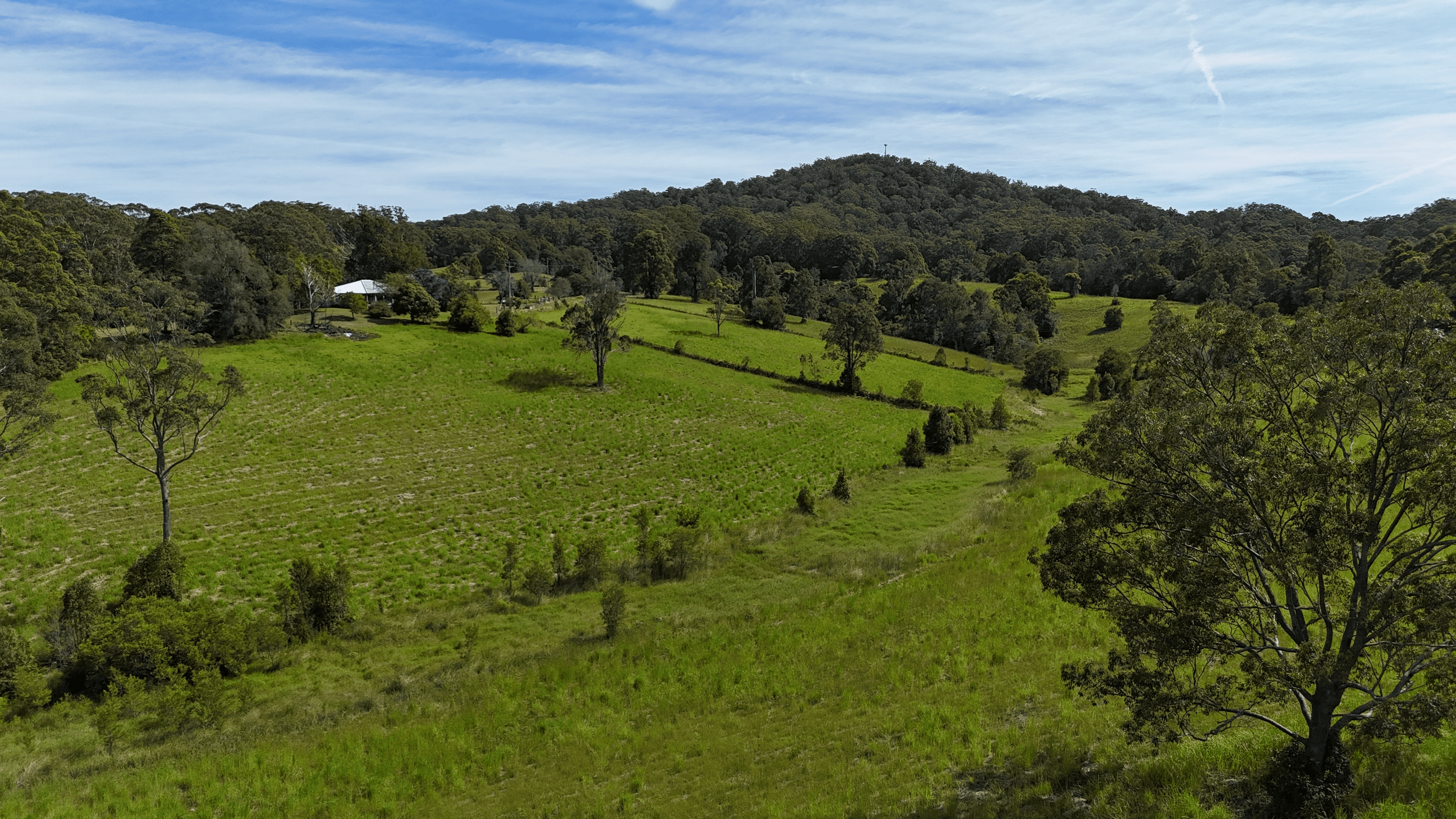 1033 Rodeo Dr, Bowraville, NSW 2449