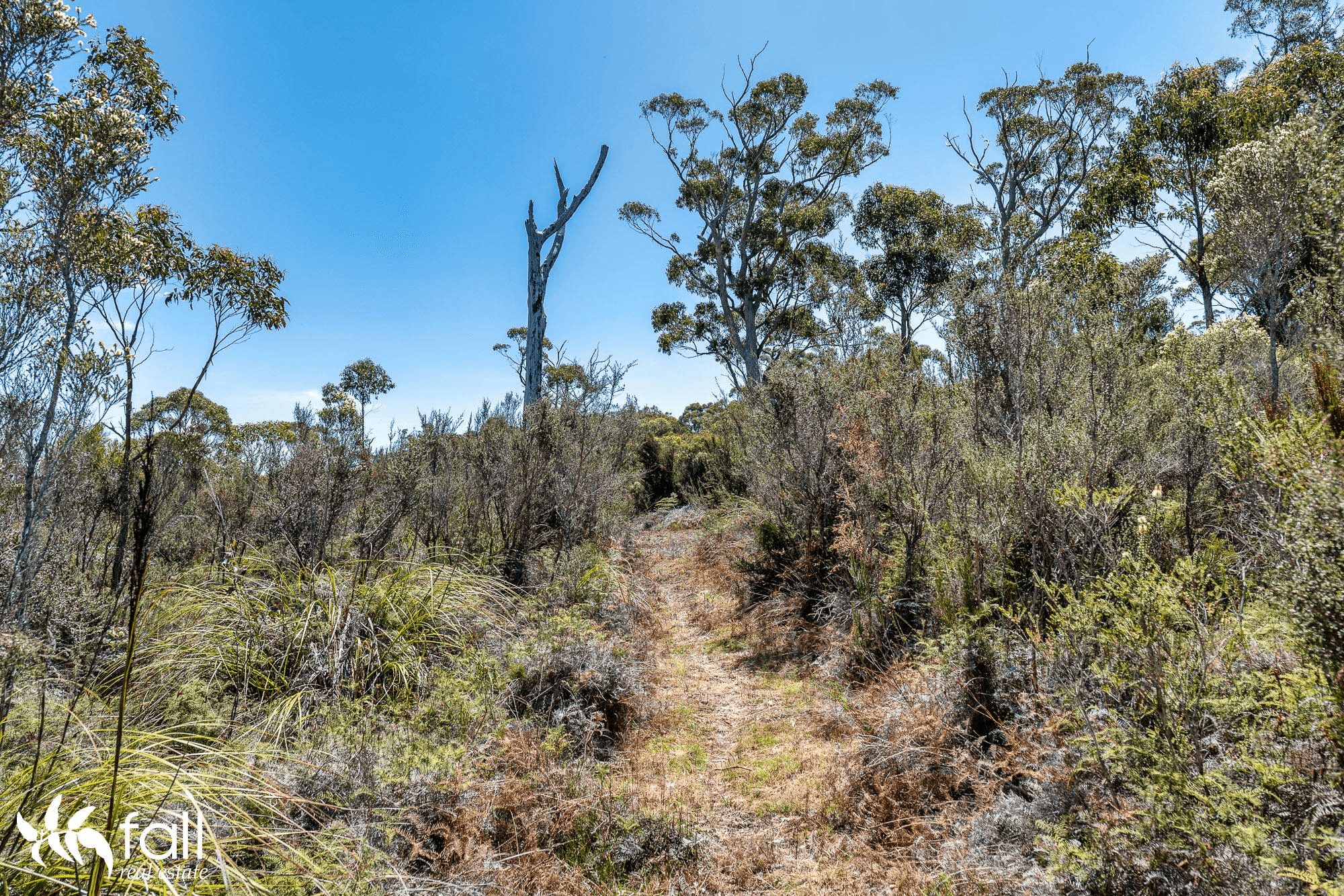 Lighthouse Road, SOUTH BRUNY, TAS 7150