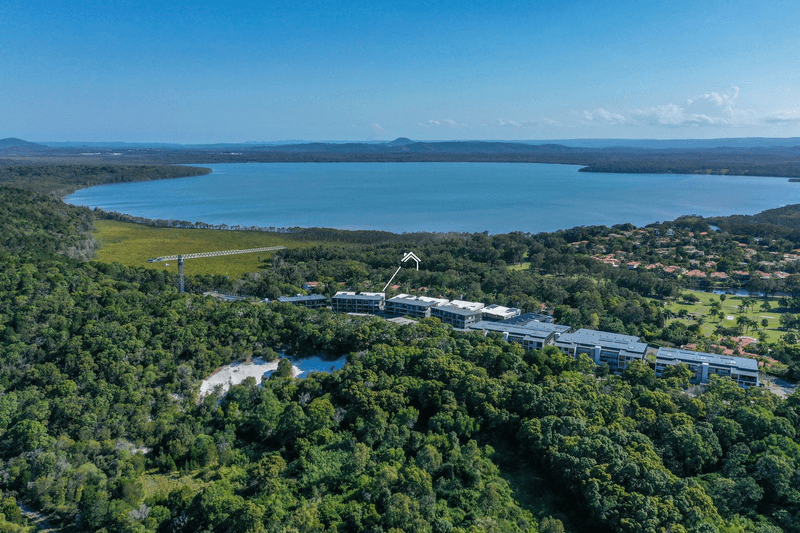 1101/7 Sedgeland Drive, Noosa Heads, QLD 4567