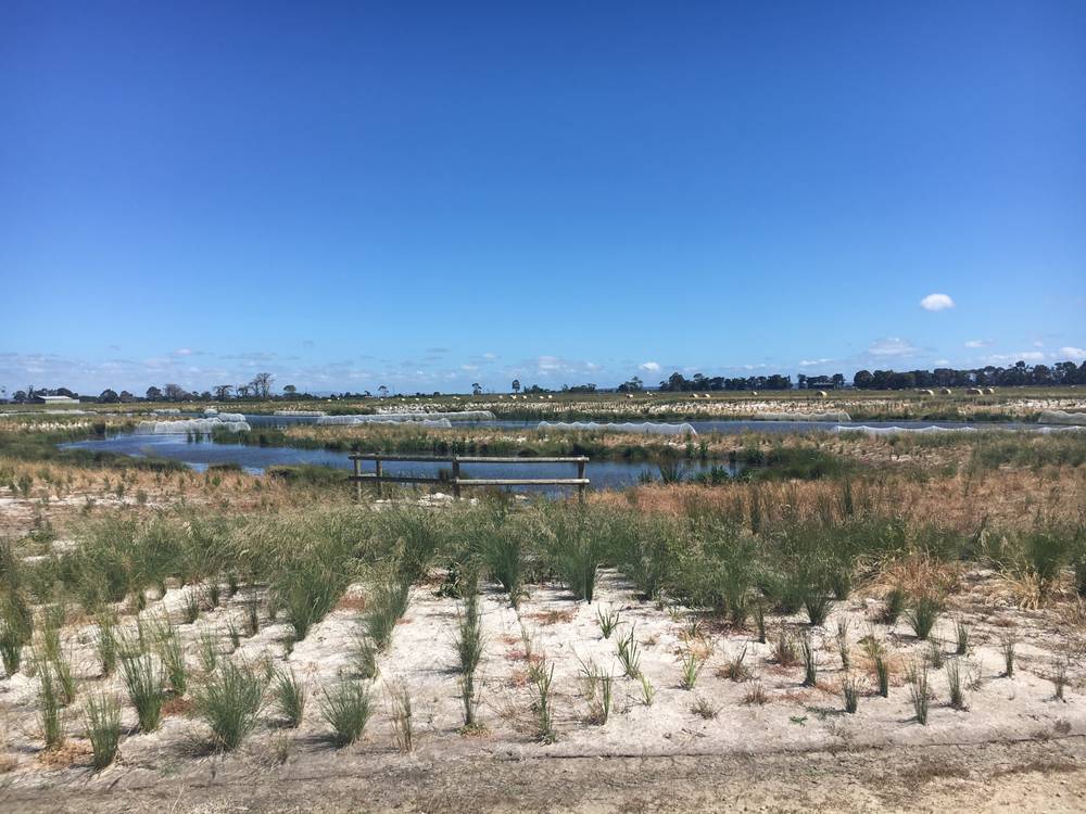 Lot 824 Sharpe Circuit (Waterways Estate), Koo Wee Rup, VIC 3981