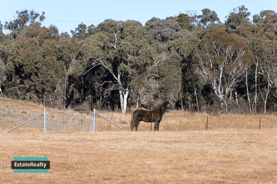 66 Widgiewa Rd, Carwoola, NSW 2620