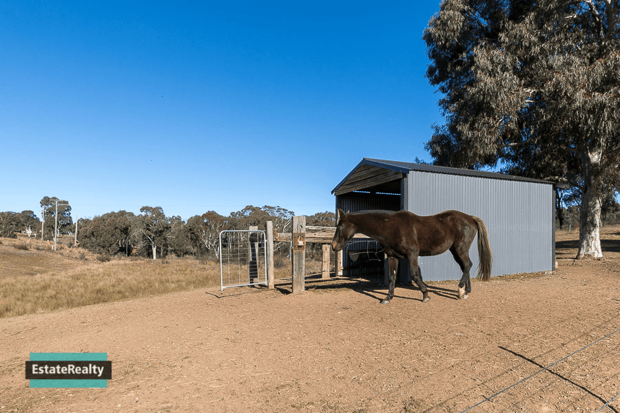 66 Widgiewa Rd, Carwoola, NSW 2620