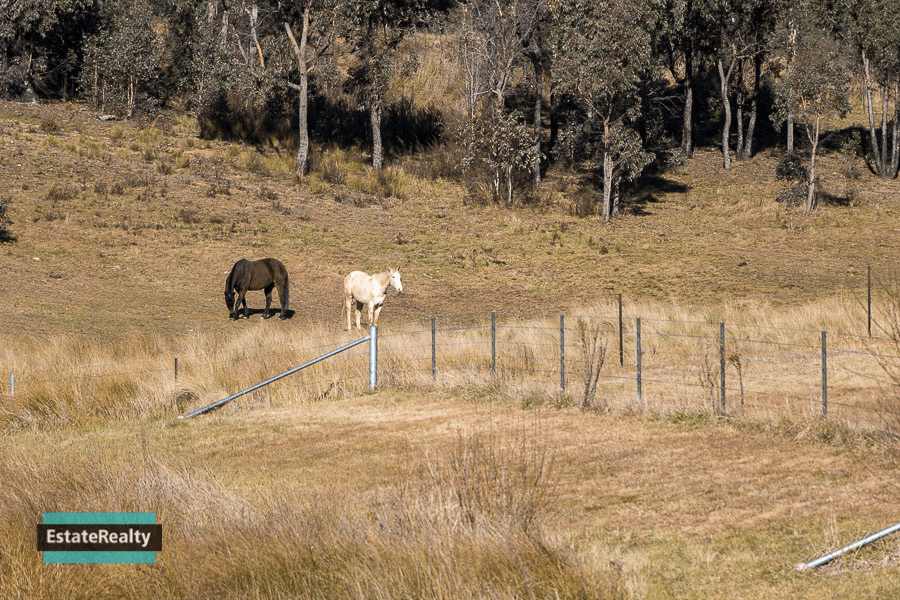 66 Widgiewa Rd, Carwoola, NSW 2620