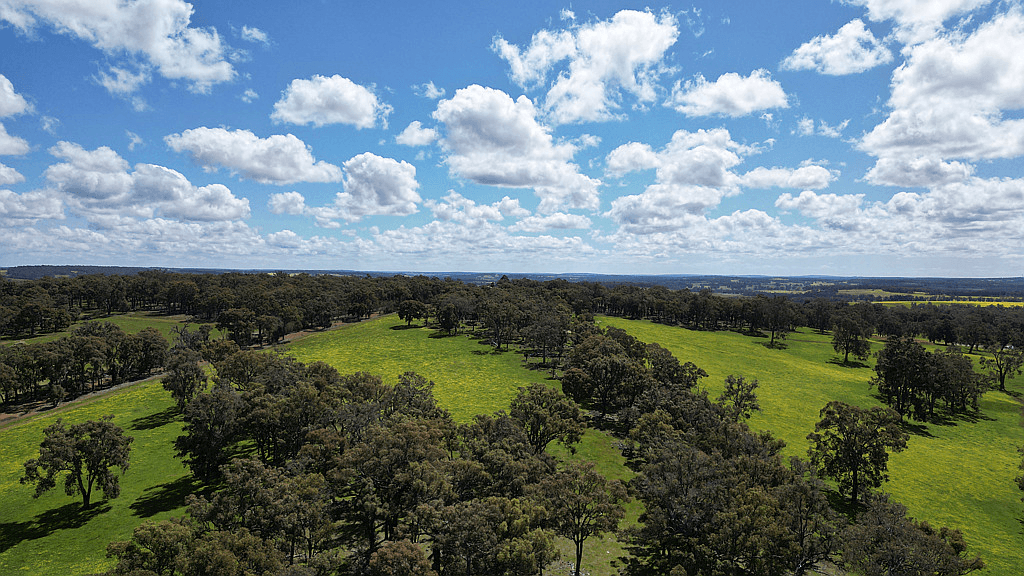 Lot 51 Boyup Brook - Kojonup Road, SCOTTS BROOK, WA 6244