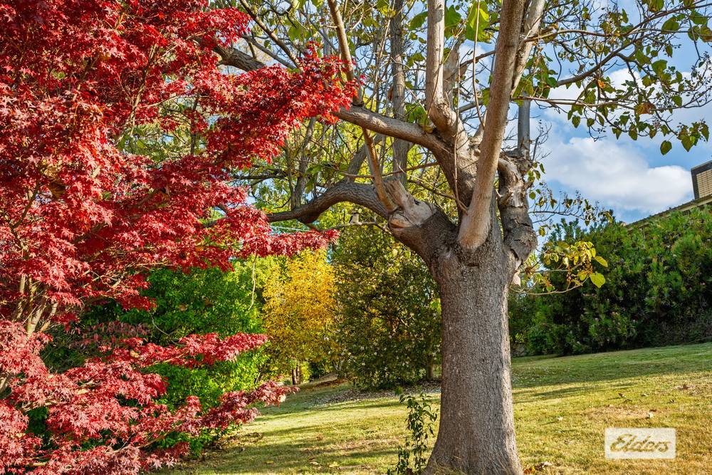 17a Bells Flat Road, Yackandandah, VIC 3749