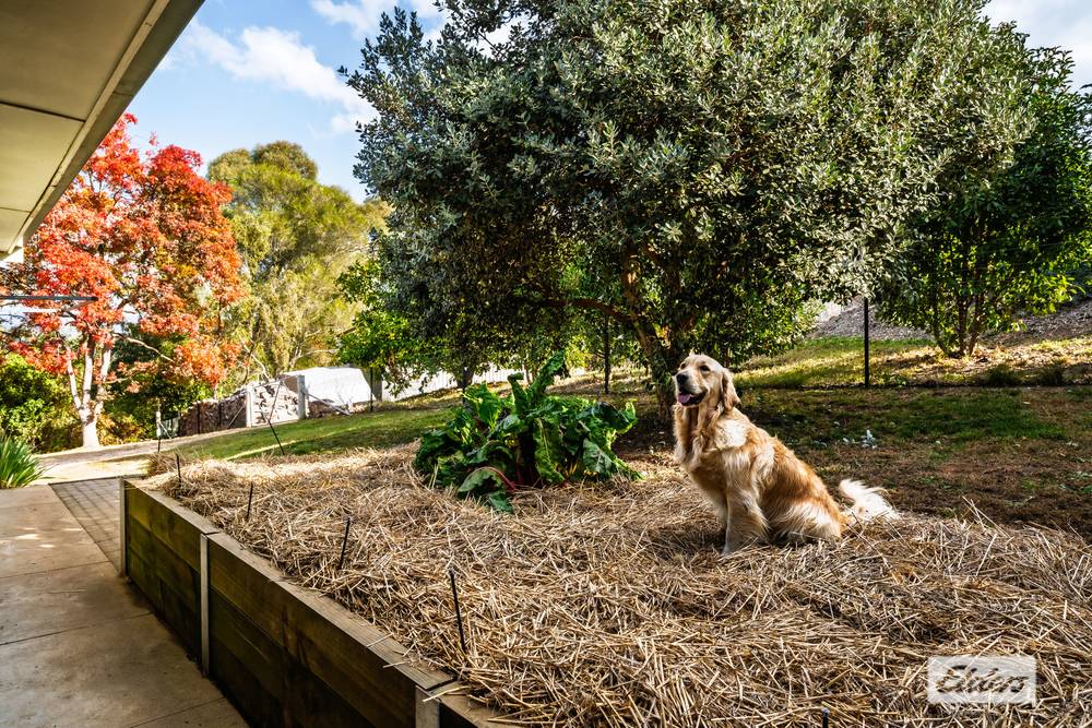 17a Bells Flat Road, Yackandandah, VIC 3749