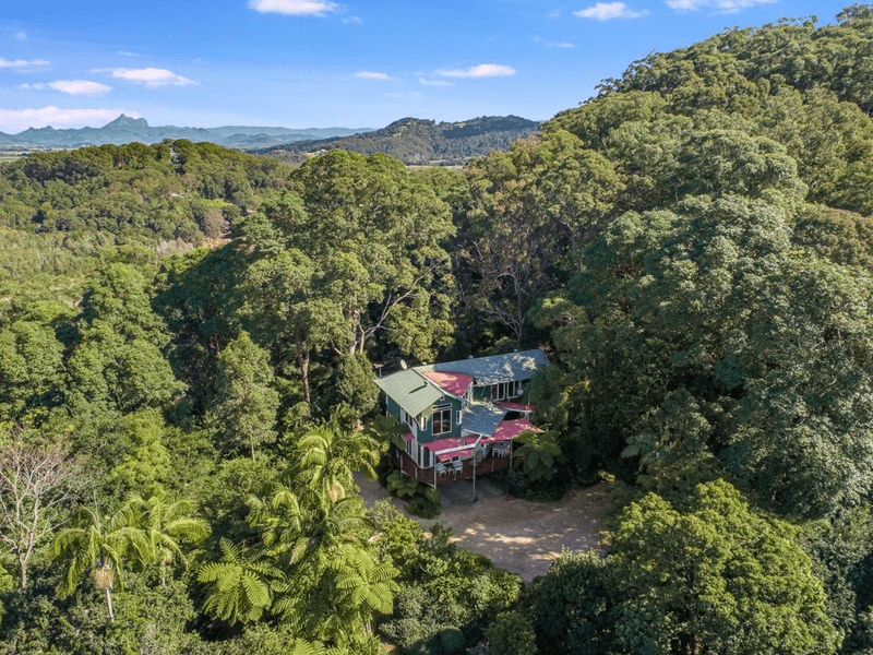 151 McAuleys Road, TERRANORA, NSW 2486