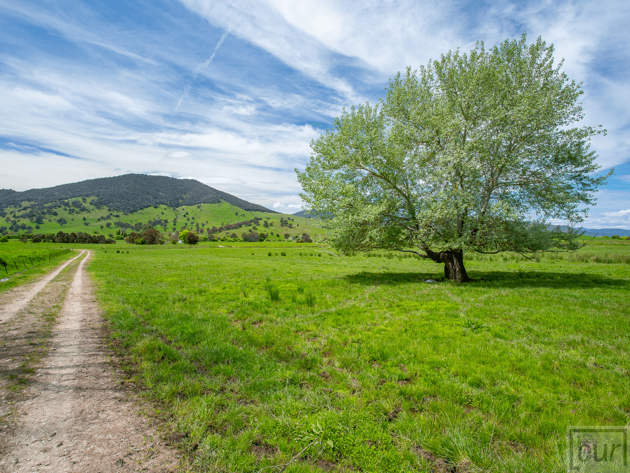 275 Soldier Settlers Road, TALLANGATTA VALLEY, VIC 3701