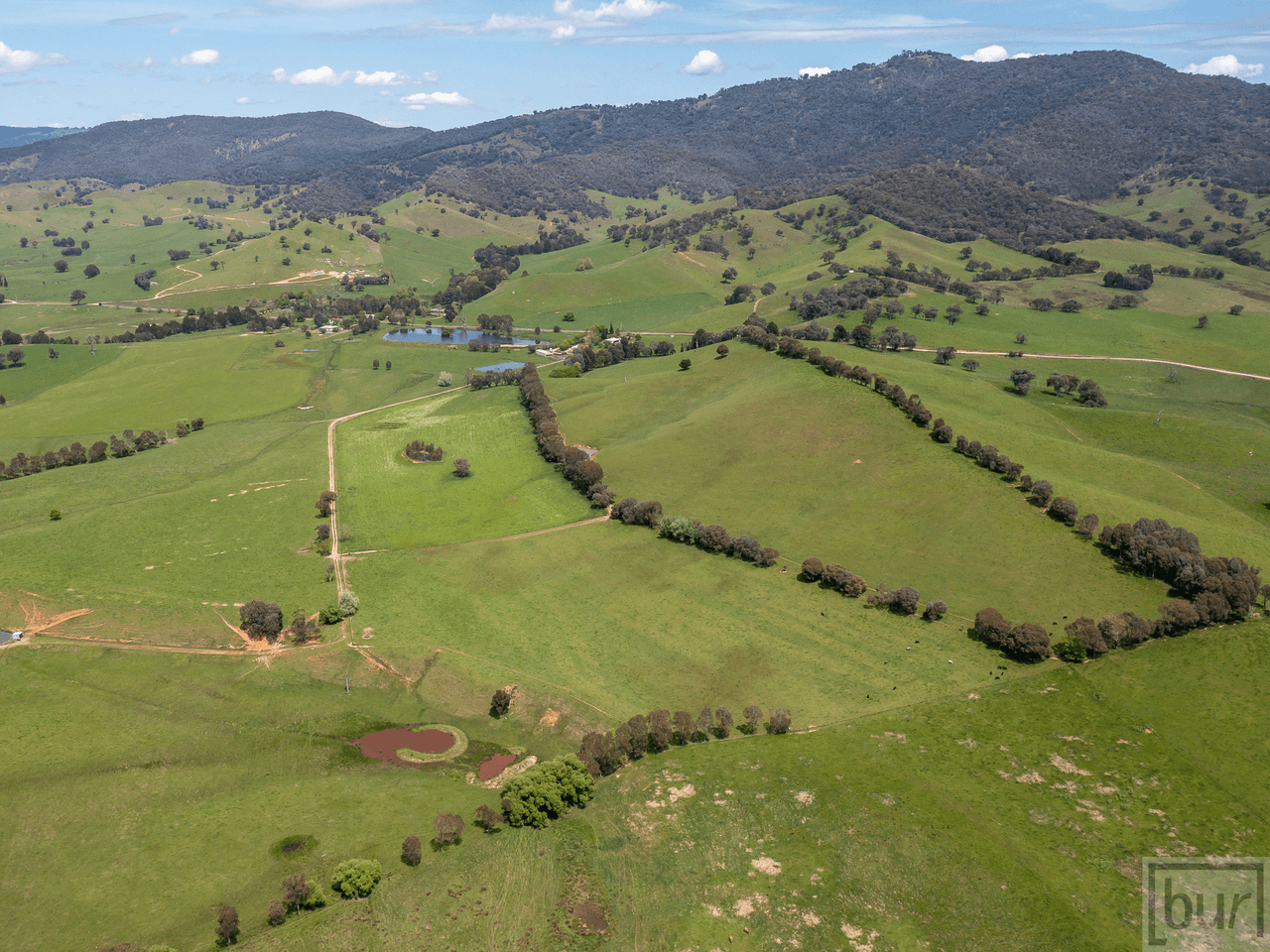 275 Soldier Settlers Road, TALLANGATTA VALLEY, VIC 3701