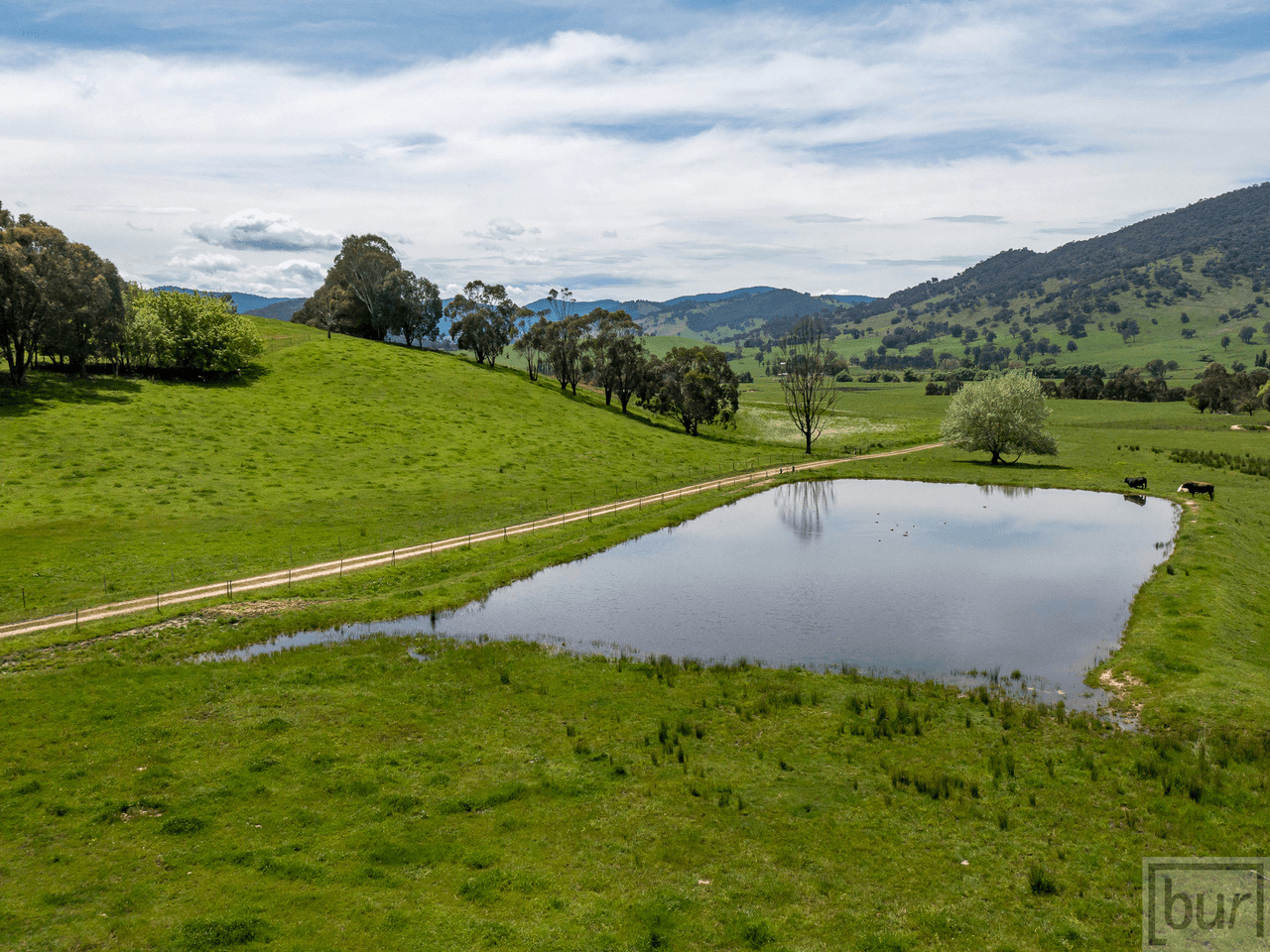 275 Soldier Settlers Road, TALLANGATTA VALLEY, VIC 3701