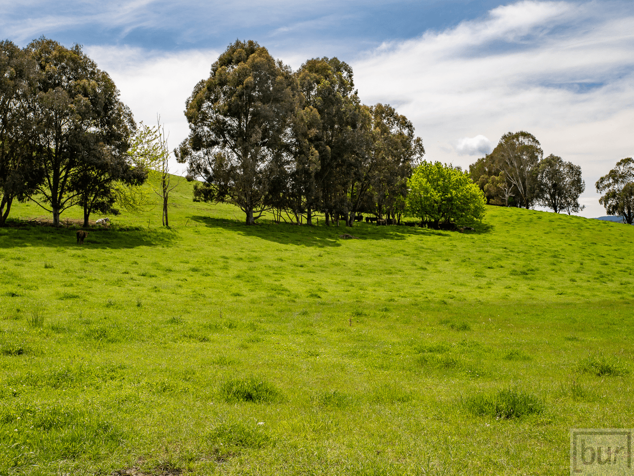 275 Soldier Settlers Road, TALLANGATTA VALLEY, VIC 3701