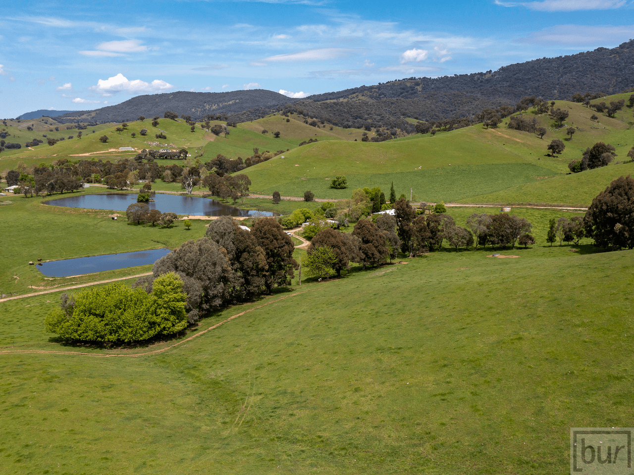 275 Soldier Settlers Road, TALLANGATTA VALLEY, VIC 3701