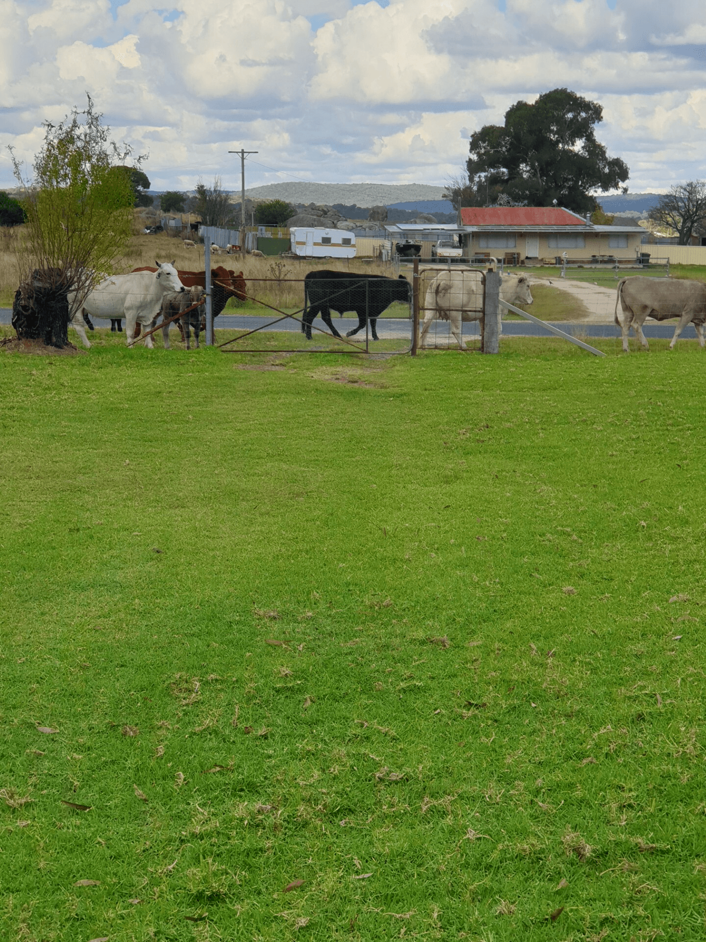 44 Hospital Flat Rd, Tingha, NSW 2369