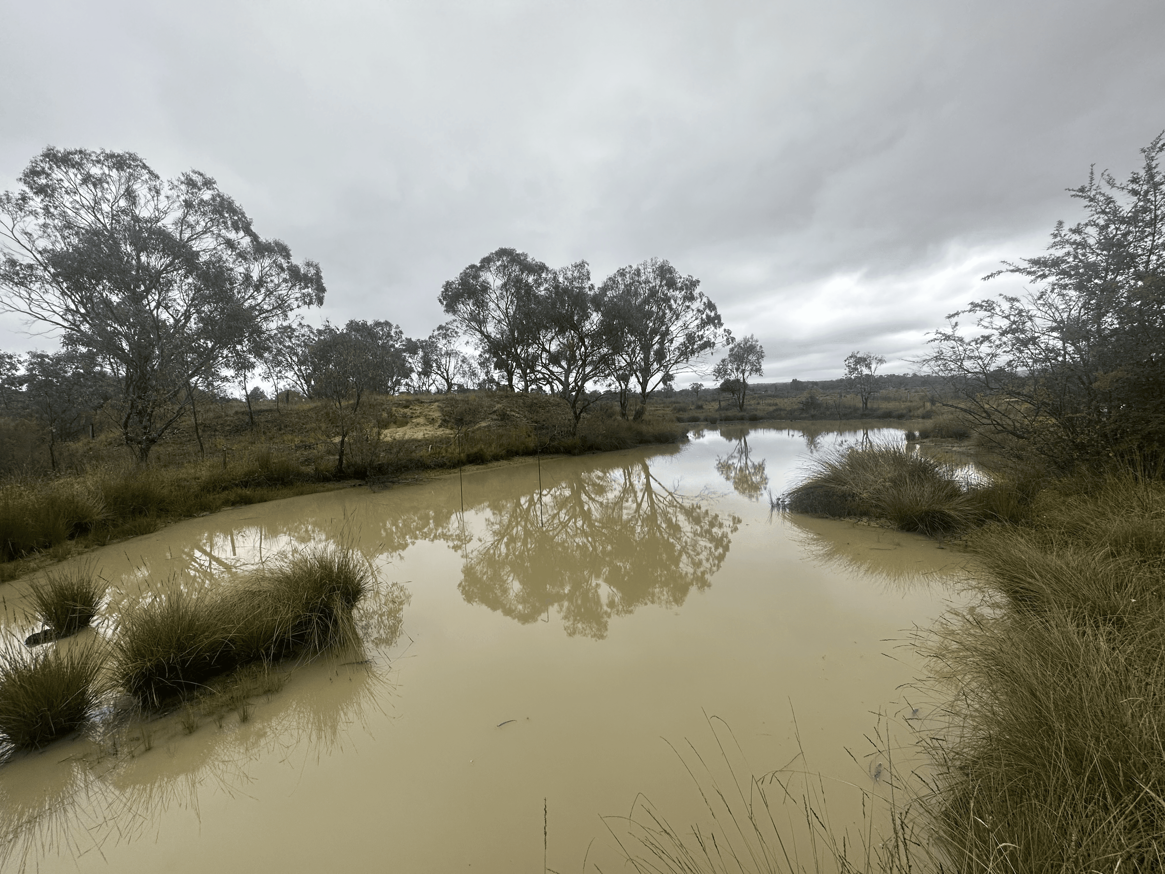 44 Hospital Flat Rd, Tingha, NSW 2369
