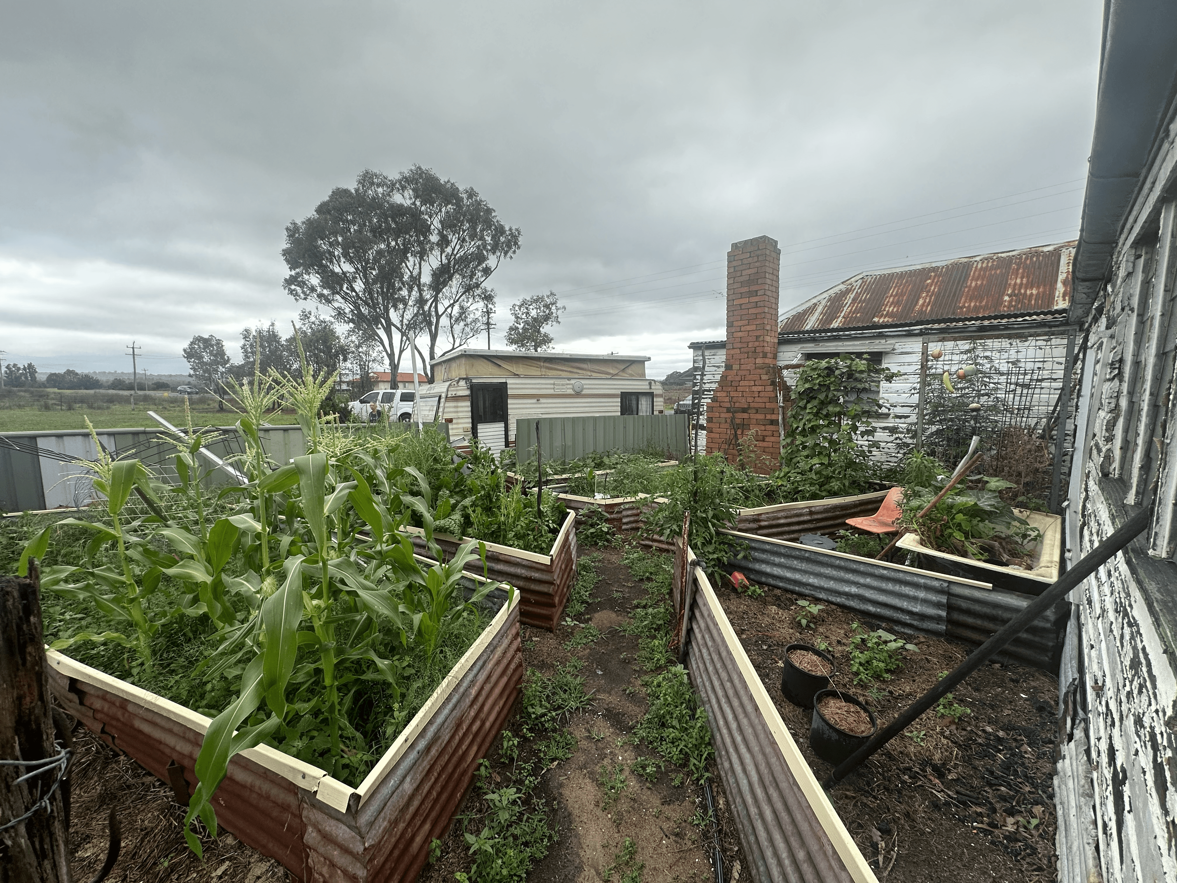 44 Hospital Flat Rd, Tingha, NSW 2369
