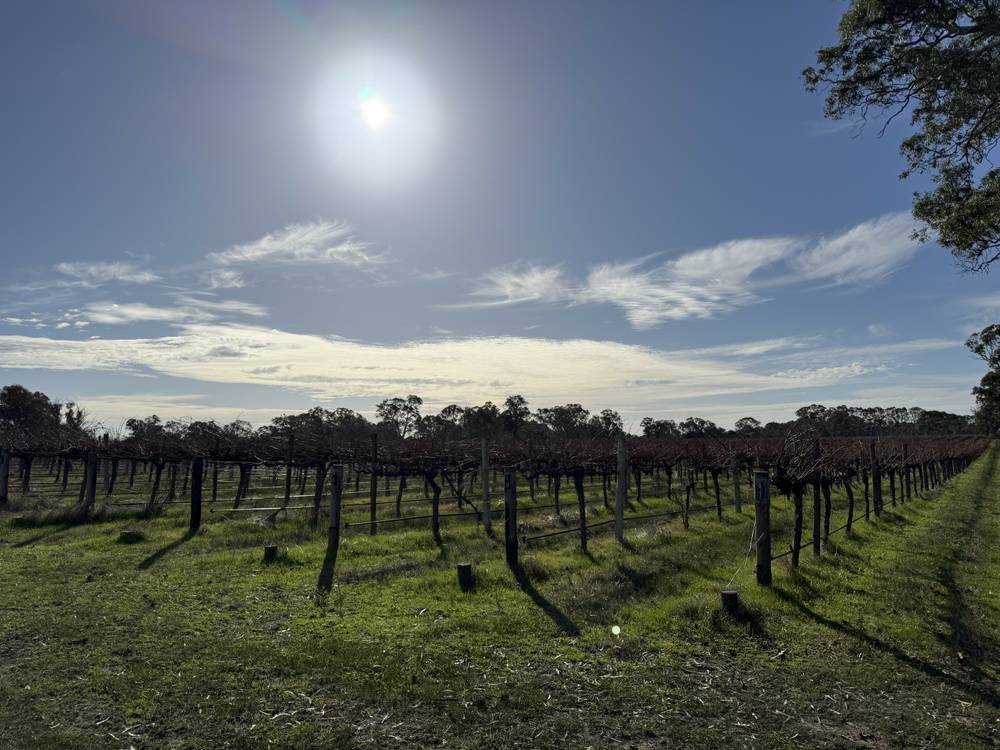 Lot 104 Dergholm Road, Penola, SA 5277